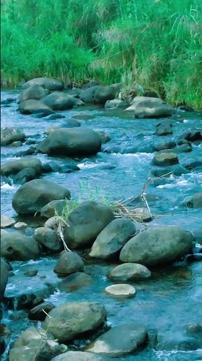 Escape Stress: Gentle Stream Sounds for Sleep & Relaxation