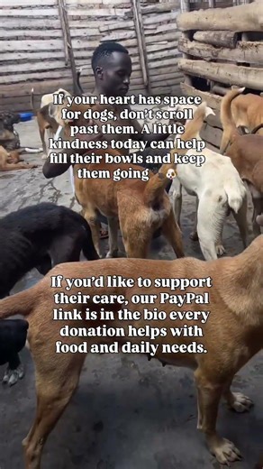 If you’d like to help, our PayPal link is in bio—every bit supports their food and care every day!.