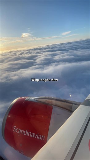 Stunning Wing and Engine View from an Airbus A320neo
