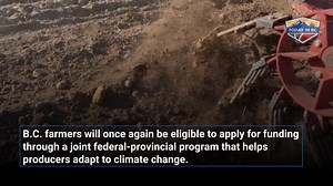 Program aims to help producers with waste management, air-quality and emissions control For more, CLICK HERE: https://www.todayinbc.com/news/b-c-canada-promises-4m-to-help-farmers-adapt-to-climate-change-drought/ #bcfarmers #climatechange #bcdrought | Victoria News