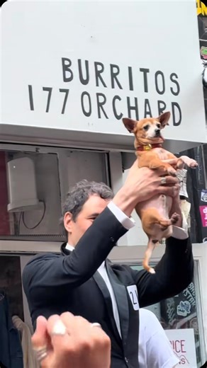 72K reactions · 1K comments | Still under the impression #5 is actually him  Today’s Pedro Pascal lookalike competition in LES was 10/10 -  @chloetullman #NYbucketlist | New York Bucket List | Facebook