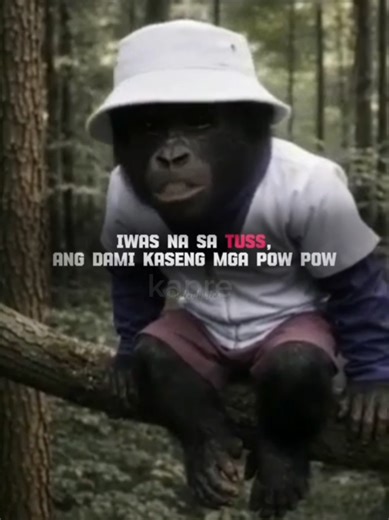 Freestyle Songs: Ang Dami ng Pow Pow