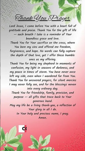 Thanks Giving Lord's Prayer ❤ Daily gratitude prayer🙏 Divine Prayers