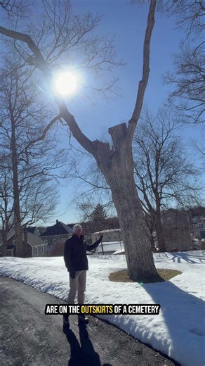 Tree Risk Isn’t Just About the Tree | How Arborists Evaluate Risk