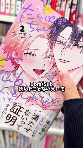 Dom/Subのオススメ作品は今ならこれだっ！！！