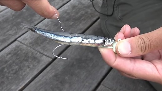堤防からのタチウオテンヤ釣りをマスターしたい！釣り方やおすすめタックル特集｜FISHING JAPAN（フィッシングジャパン）