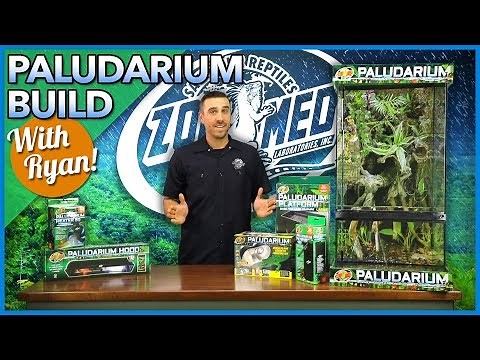 Building a Custom Paludarium Habitat with Ryan!