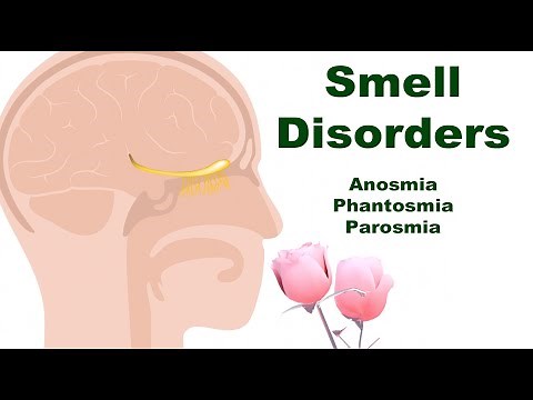 Smell Disorders: Anosmia, Phantosmia, and Parosmia (Why and What Happens?)