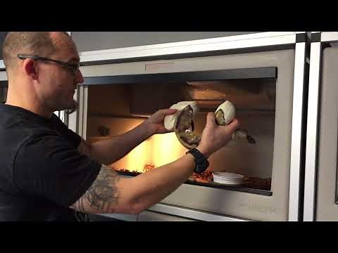 Comment récupérer les oeufs d'une femelle python royal (Python regius) qui couve ?