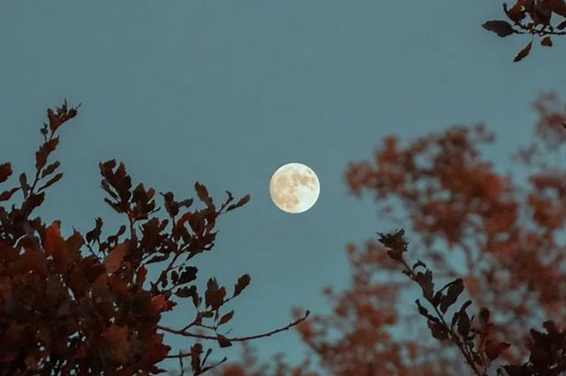 Fases da Lua em 2024: confira calendário completo do ano