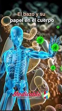 The spleen and its role in the body. #health #reels #shortsviral #shortsfeed