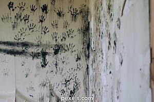 Disaster Response Videos, Download The BEST Free 4k Stock Video Footage & Disaster Response HD Video Clips