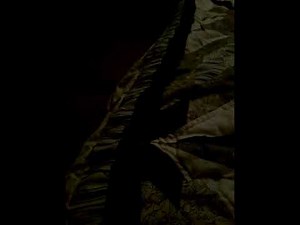 Disconnected Numbers - All Male Voices