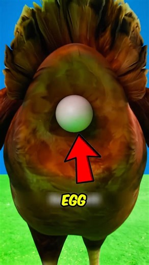 EGGS AREN’T WHAT YOU THINK ‼️😱 #facts #mindblown