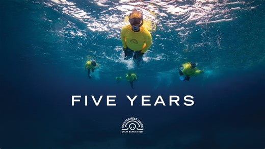 Like all great things, the Master Reef Guide program ignited from a spark—an idea born of a question, a desire, a conversation. How can we continue to improve reef interpretation, to empower the reef tourism industry with knowledge and tools to enhance their guests experience? How can we empower those on the Reef to inspire their guests to leave with a love for this place, and to allow them to return home as their own ambassador for the planet? This vision sparked a collective effort which broug