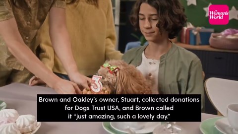 Viral golden retriever wedding raises money for dogs in need with 60 guests