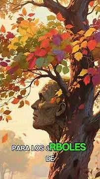 The scientific reason why leaves change color
