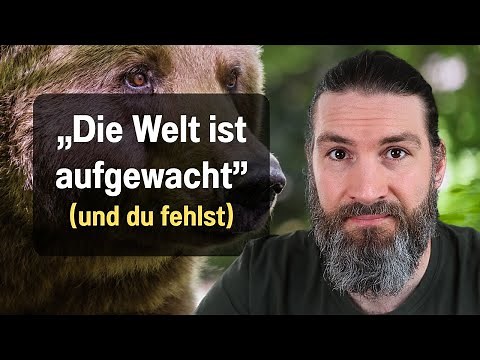 Bear Spirit Animal: Current Message and Wisdom (Wow!)