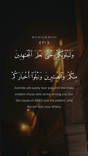 Muhammad (47:31) | Mohamed al-Tablawi • After Hardship