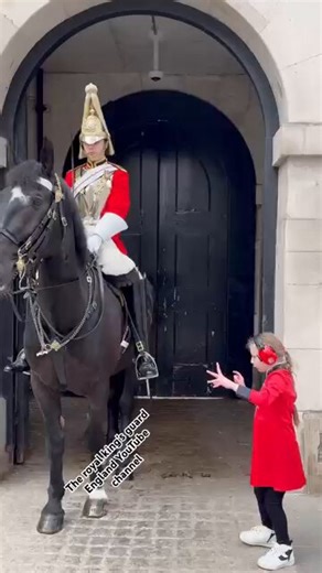 自閉症の女の子がお願いをしたその瞬間…彼はすぐに状況を理解し、その子にとってどれだけ大切なことかを察して、ルールを越えてでも応えた。本当に優しい人って、こういう人なんだと思う♥️