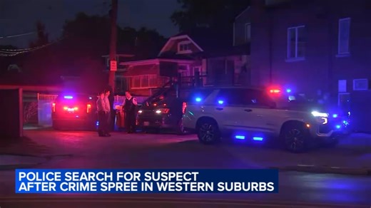 Man arrested after hit-and-run, carjacking that led to crash in Berwyn; 2 officers injured: police