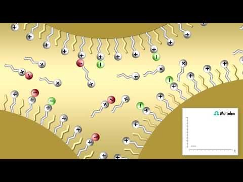 Ion pair chromatography