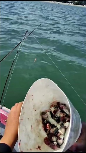 Cutting bait and loading the chum bucket before fishing. This is how we bring the fish in fast 🎣