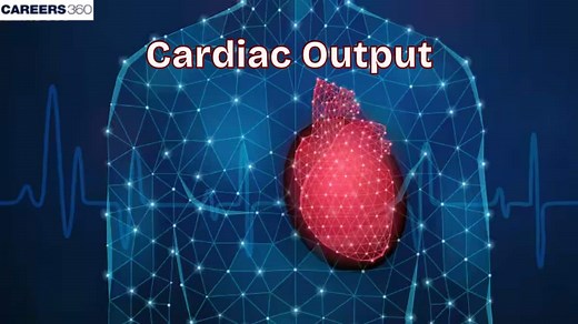 Cardiac Output: Definition, Factors Affecting, Measurement & Regulation