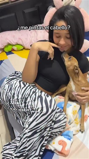 Diana Benítez | Modelo & Coach de Pasarela on Instagram: "píntense el cabello de azul #tinte #cabello #pintarseelcabello #hair"