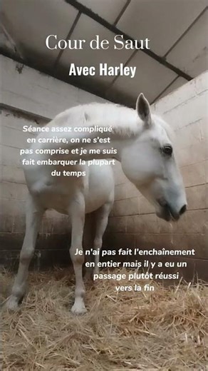 stage g4/5/6 💖 #horse#cheval#trend#love#ucpa#equitation