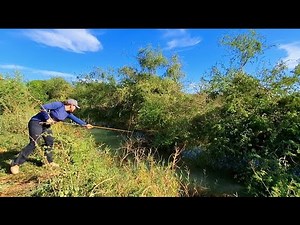 The stream was invaded by carnivorous fish that devour you in seconds... fishing