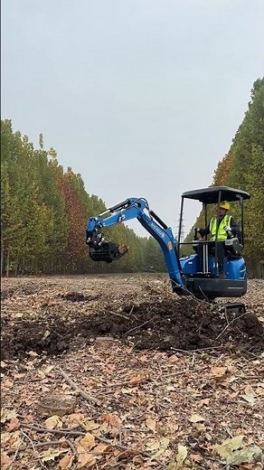 Mini Excavator Tricks You Have To See!