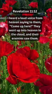 Journey of faith and spiritual growth | Revelation 11:12 Daily Bible Verse