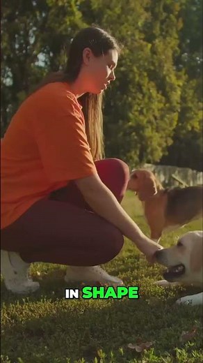 Dinovite: Not a Quick Fix, a Real Solution