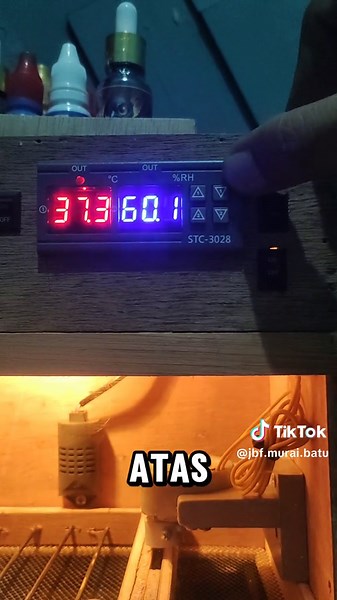 Cara Setting Thermostat STC-3028 untuk Mesin Tetas