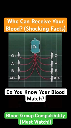 Blood Group Truth Everyone Should Know 🩸(Must watch) #bloodgroup #medicalfacts #shorts