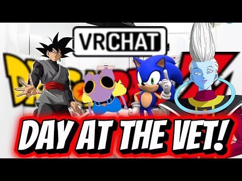 BEERUS GOES TO THE VET! | DBZ VR SKIT!