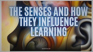 The 5 Senses and How They Influence Learning