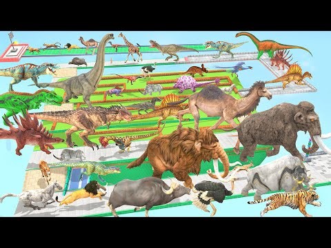 Maze Madness Race Wild Animals vs Dinosaurs Speed Race Run Zigzag Maze Course! from Outside ARBS