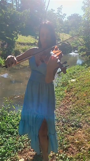 Sway by Michael Bublé #violin #shorts #music #violinshorts #shortvideo