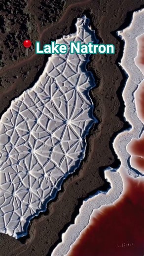 A Lake Built for Death? #shorts #lakenatron