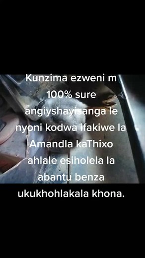 Zulu_Lami (@zulu_lami)’s videos with Idlozi Lami (feat. Nkosazana and DJ FreeTz) - Dj Obza
