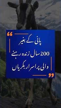 Shocking Discovery: Goats Lived 200 Years With No Water?? | Geo Digital