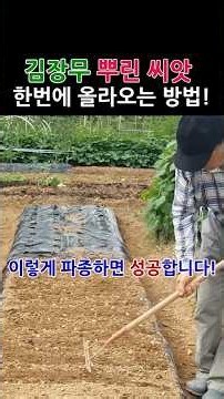 How to Get Your Kimchi Radish Seeds to Sprout All at Once: Success Guaranteed with This Sowing Me...
