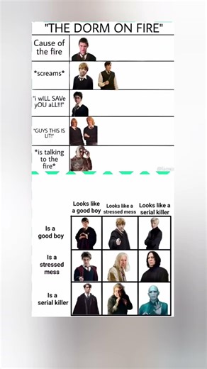 The Hogwarts Chaos Spectrum: From Accidental Arson to Existential Dread😀#harrypotter #memes #shorts