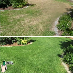 Take the first step to a better-looking lawn than your neighbors. "We have used Lawn Doctor for the past two years and are very pleased with the service and the results. Our lawn has never looked better. Prior to using Lawn Doctor, we hired another lawn service who, after just two treatments, managed to not only kill the lawn but several plants as well. We would recommend Lawn Doctor to all." - John M | Lawn Doctor
