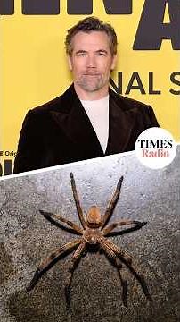 The Colin From Accounts Scene That Starred A Real Huntsman Spider