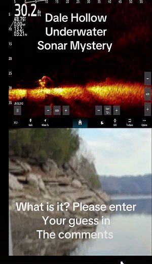 What is it? Can the sonar experts identify what this is? Saw this while fishing at Dale Hollow Reservoir in a cove about 25 feet deep by the dam. Please enter your guess in the comments ! #lake #fishing #garmin #tennessee