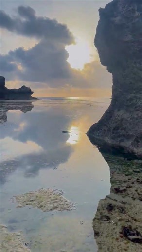 According to all aerodynamic laws the bumblebee can't fly but ignoring all laws TYE BUMBLEBEE FLIESS