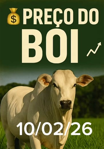 Preço da arroba do boi gordo com 30 dias (R$/@) – 10/02/2026 \t•\tSP: R$ 340,00 \t•\tAC: R$ 270,00 \t•\tAL: R$ 315,00 \t•\tBA: R$ 310,00 \t•\tES: R$ 315,00 \t•\tGO: R$ 320,00 \t•\tMA: R$ 310,00 \t•\tMG: R$ 320,00 \t•\tMS: R$ 320,00 \t•\tMT: R$ 310,00 \t•\tPA: R$ 315,00 \t•\tPR: R$ 340,00 \t•\tRJ: R$ 325,00 \t•\tRO: R$ 290,00 \t•\tRS: R$ 333,00 \t•\tSC: R$ 340,00 \t•\tTO: R$ 315,00 #arroba #boi #gado